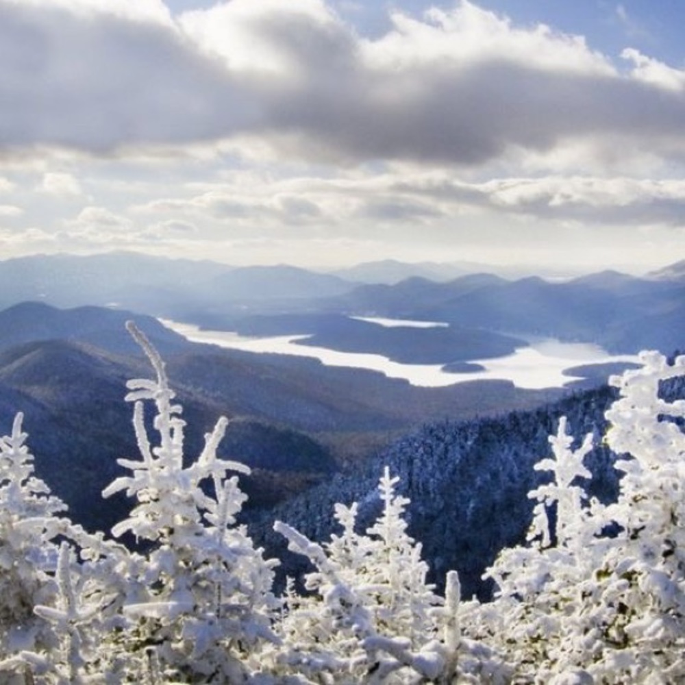 Meet your Posher, Musthave